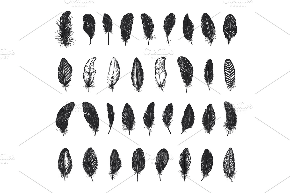 Vintage Black Fluffy Feathers Set, an Illustration by LadadikArt