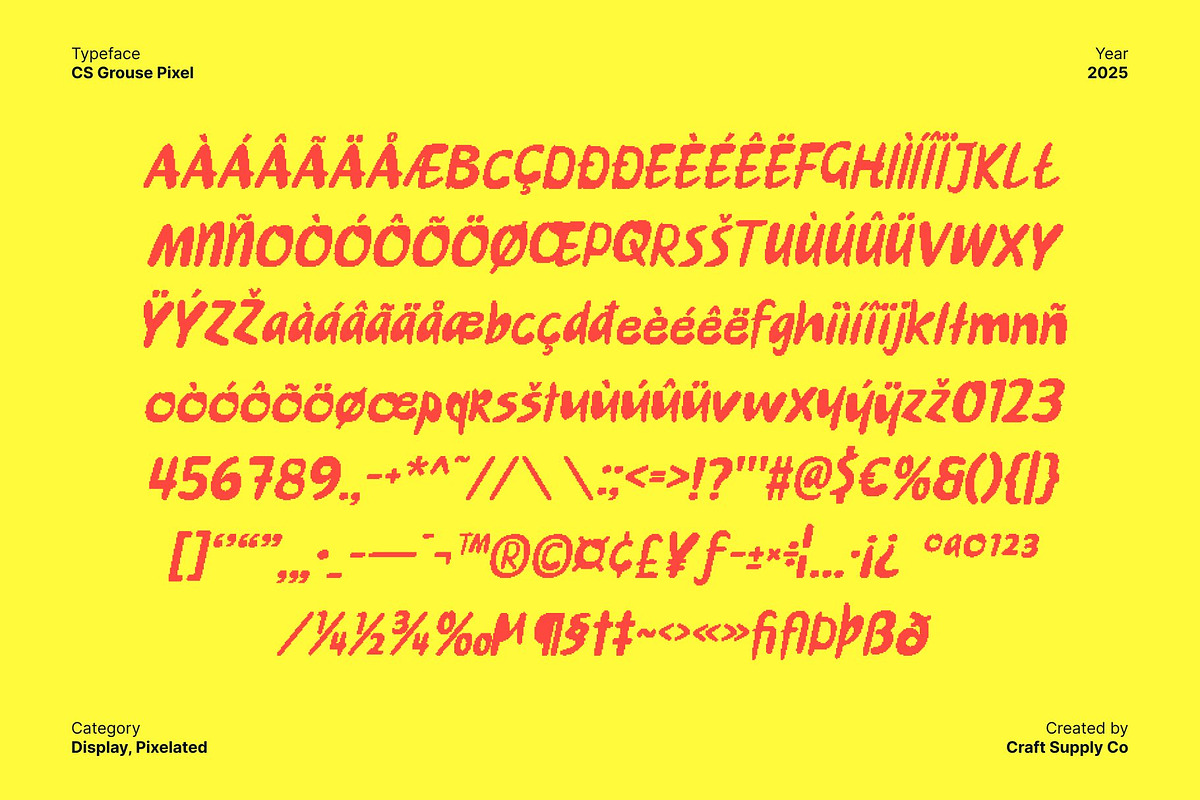 CS Grouse Pixel, a Handwritten Font by Craft Supply Co. (Photo 8 of 8)