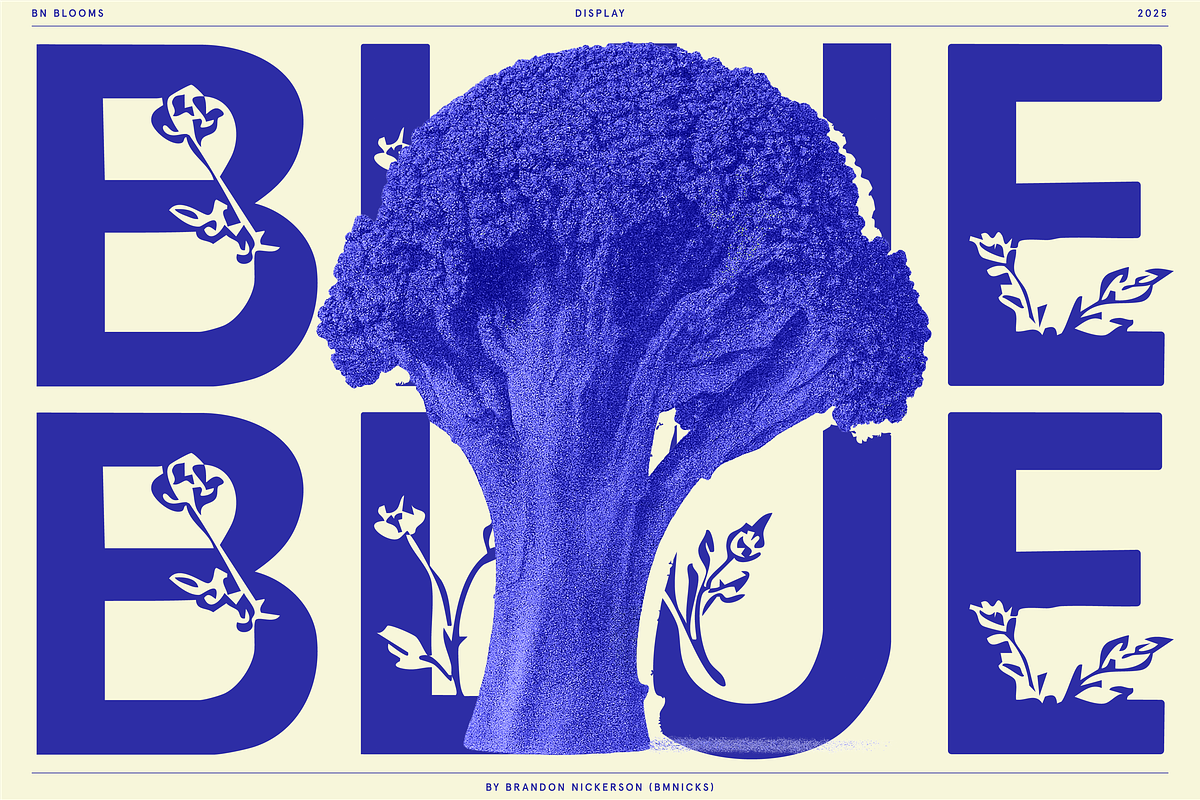 BN Blooms, a Sans Serif Font by Bnick (Photo 16 of 17)