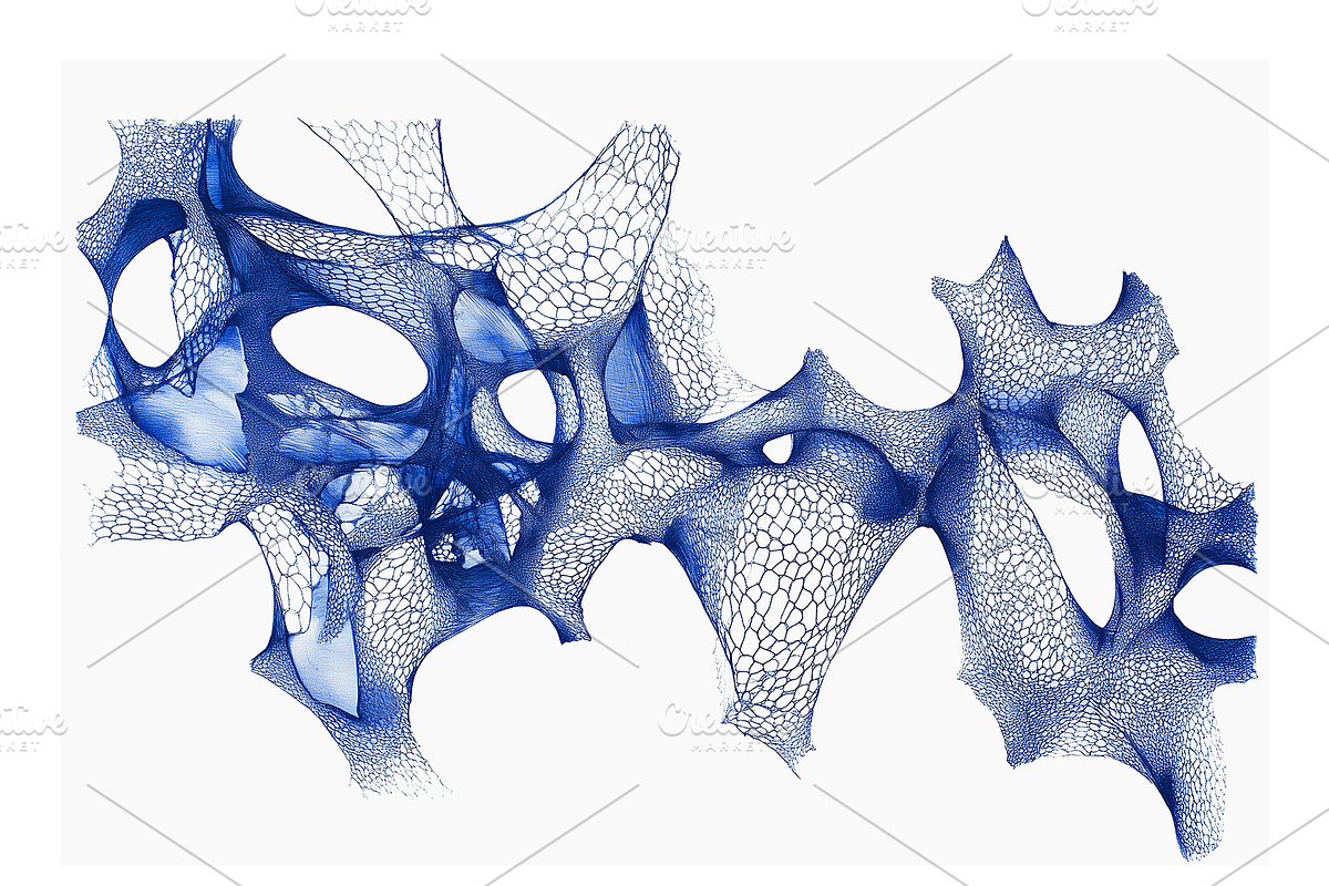 Bimo 2 Co. Organic Abstractions, a Texture Illustration by milatovar (Photo 17 of 20)