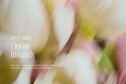 Soft Floral Spring Blur Backgrounds, a Background Graphic by eclosque (Thumbnail 44 of 48)
