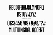 Robison Modern Ligature Futuristic S, a Sans Serif Font by Perfectype (Thumbnail 7 of 8)