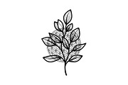 Floral Ornament Silhouette Bundle, an Illustration by BIPLOB EXPERT (Thumbnail 36 of 51)