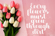 Dilaney - Handwritten Font, a Script Font by StringLabs (Thumbnail 6 of 10)