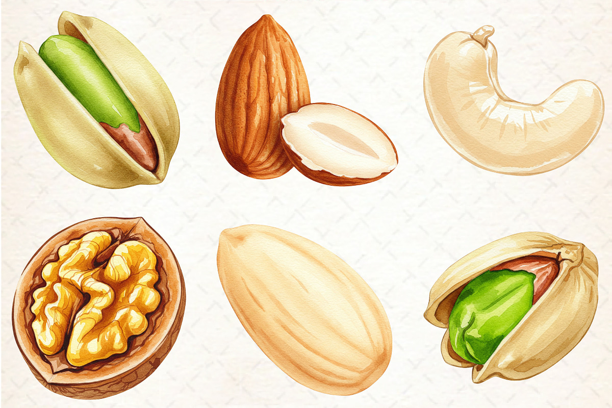 Nuts Watercolor Clipart, an Illustration by Libby Wishes (Photo 6 of 6)