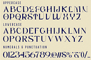 Timeless Authors Font, a Serif Font by 177Studio (Thumbnail 8 of 8)