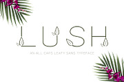 Lush Sans Font with Leaves, a Font by Beck McCormick (Thumbnail 1 of 7)