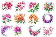 Bougainvillea Flower Clipart Bundle, an Illustration by Designworld (Thumbnail 3 of 5)