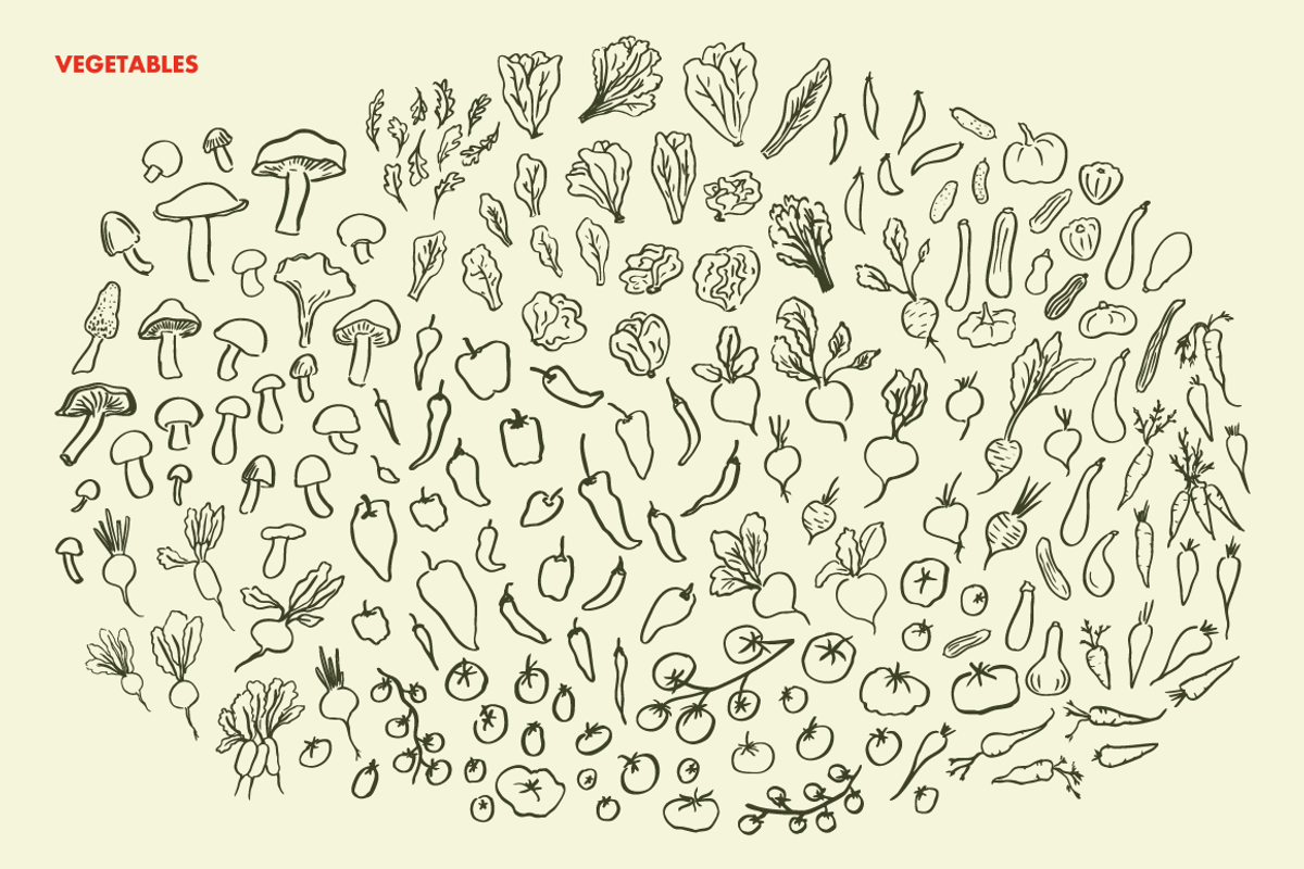 Farm Fresh Hand Drawn Illustrations, an Illustration by Oti Lu Studio (Photo 7 of 8)