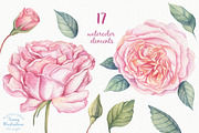 Watercolor Rose Garden, a Decorative Illustration by Irina Diasli (Thumbnail 2 of 9)