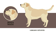 Dog breeds Labrador Retriever, an Animal Illustration by Nenilkime (Thumbnail 1 of 3)