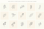 Hand Drawn Floral Elements. Frames, a Seasonal Illustration by Designwork (Thumbnail 19 of 22)