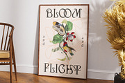 CS Morish Drawn, a Serif Font by Craft Supply Co. (Thumbnail 4 of 8)