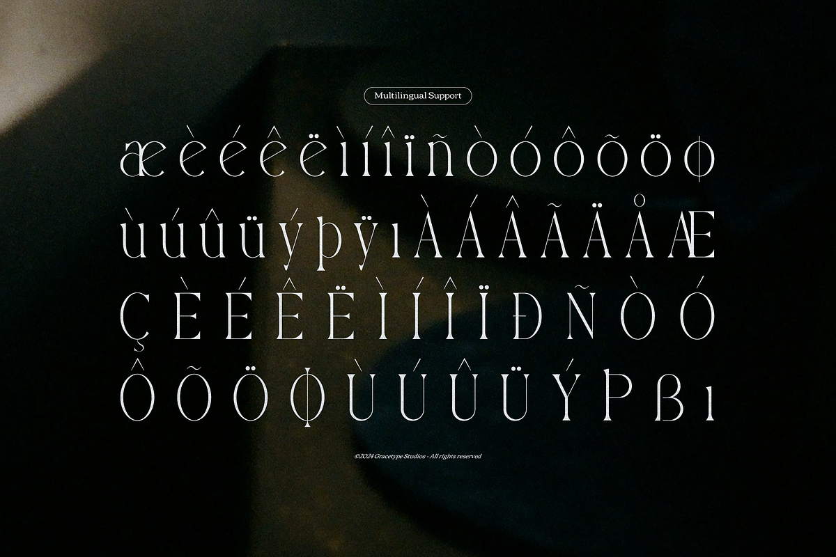 Yerindar | Modern Display Serif, a Serif Font by gracetype_studio (Photo 12 of 12)