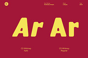 CS Bricker Drawn, a Sans Serif Font by Craft Supply Co. (Thumbnail 4 of 8)