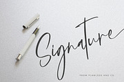 Augustin - Modern Signature Font, a Script Font by Flawless And Co (Thumbnail 7 of 10)