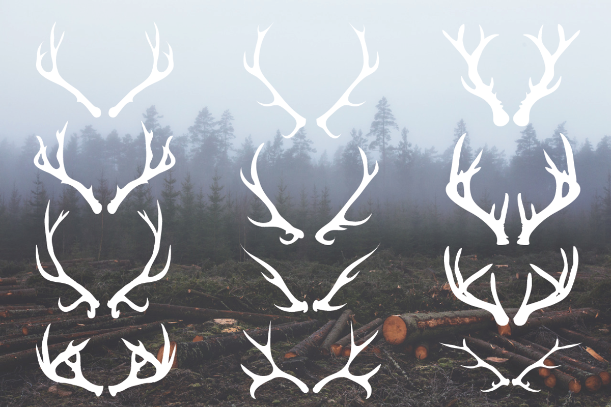 Deer Antlers - 12 Hand Drawn Vectors, an Animal Illustration by cardcandy (Photo 1 of 2)