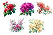 Bougainvillea Flowers Clipart Bundle, an Illustration by Dream Creation (Thumbnail 5 of 5)