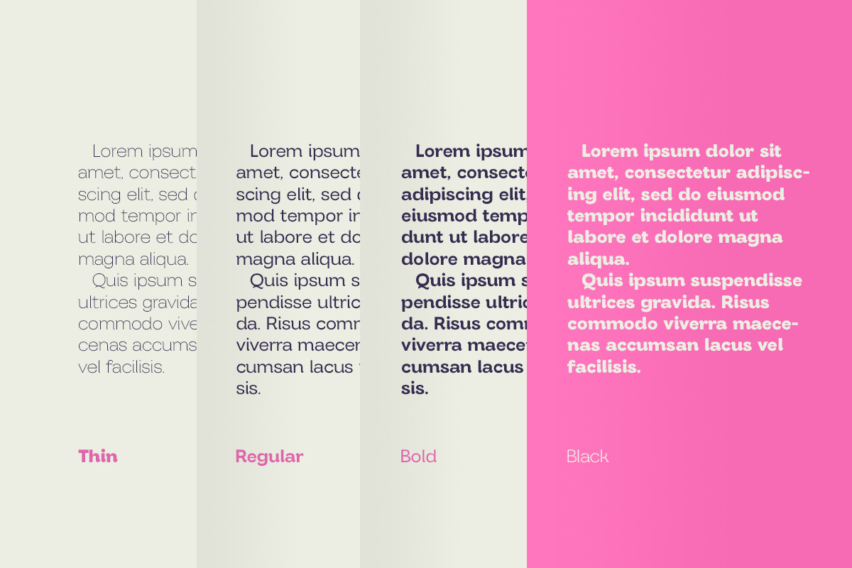 Parkin Sans With 9 Weight, a Sans Serif Font by Letterhend Studio (Photo 7 of 10)