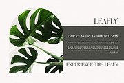 Morins Elegant Serif Font Typeface, a Serif Font by Perfectype (Thumbnail 7 of 8)
