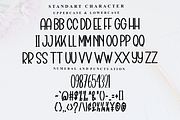 Beach Winter, a Serif Font by InermediaSTUDIO (Thumbnail 5 of 7)