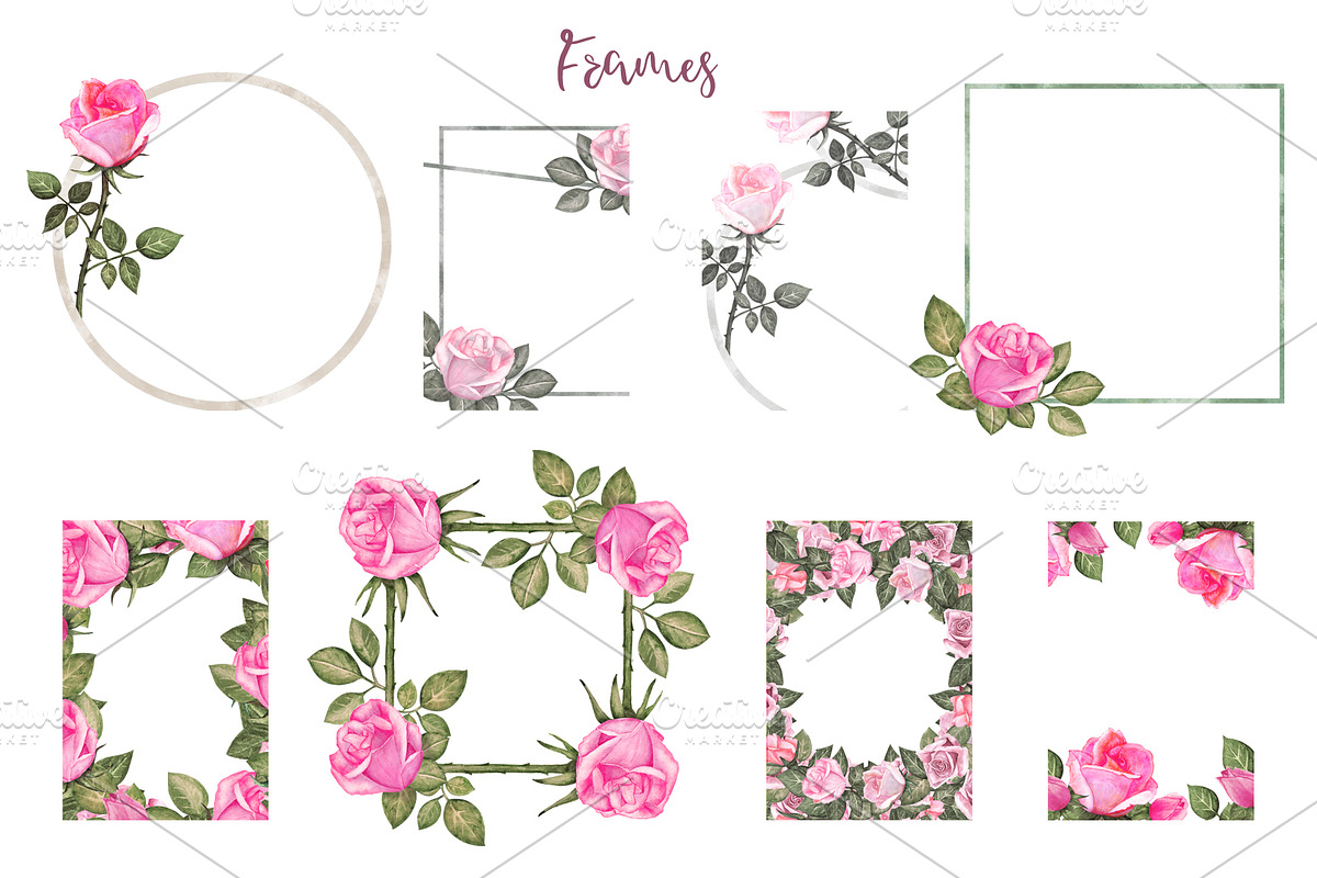 Watercolor Pink Roses, a Decorative Illustration by Color_Brush (Photo 4 of 9)