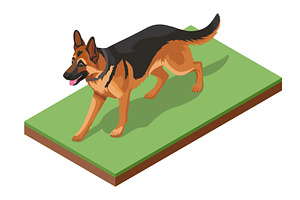 Isometric illustration of a German, an Animal Illustration by Golden Sikorka