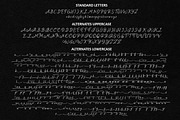 New Florence - Modern Classic Font, a Script Font by HIRO.std (Thumbnail 13 of 15)