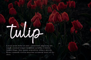 Blind Matte - Script Font, a Script Font by NTC Graphic (Thumbnail 5 of 9)