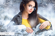 Artic Frost Photoshop Overlays preview 5