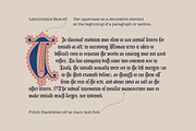 Latin Initials Gothic font family, a Blackletter Font by kaer_shop (Thumbnail 5 of 12)