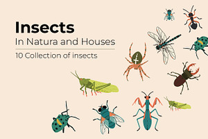 Collection of Insects