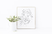 Peony flowers hand drawn card, a Card Template by TurquoiseDesign (Thumbnail 2 of 3)