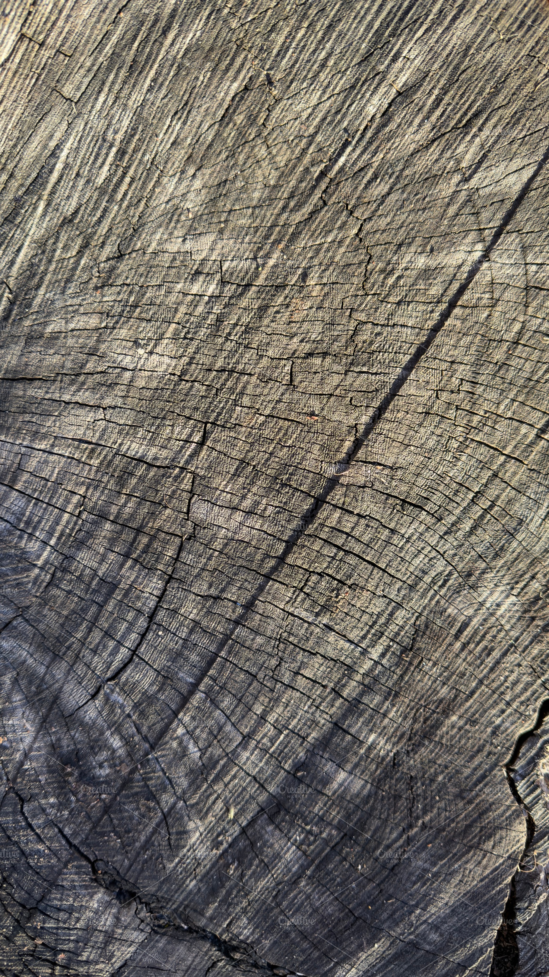 Close-up of textured, weathered wood with deep cracks and lines, a Nature Photo by Textures & Backgrounds