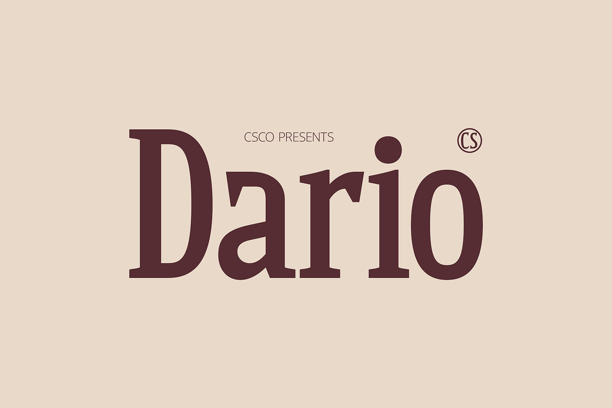 CS Dario – Bold Font, a Serif Font by Craft Supply Co. (Photo 1 of 8)