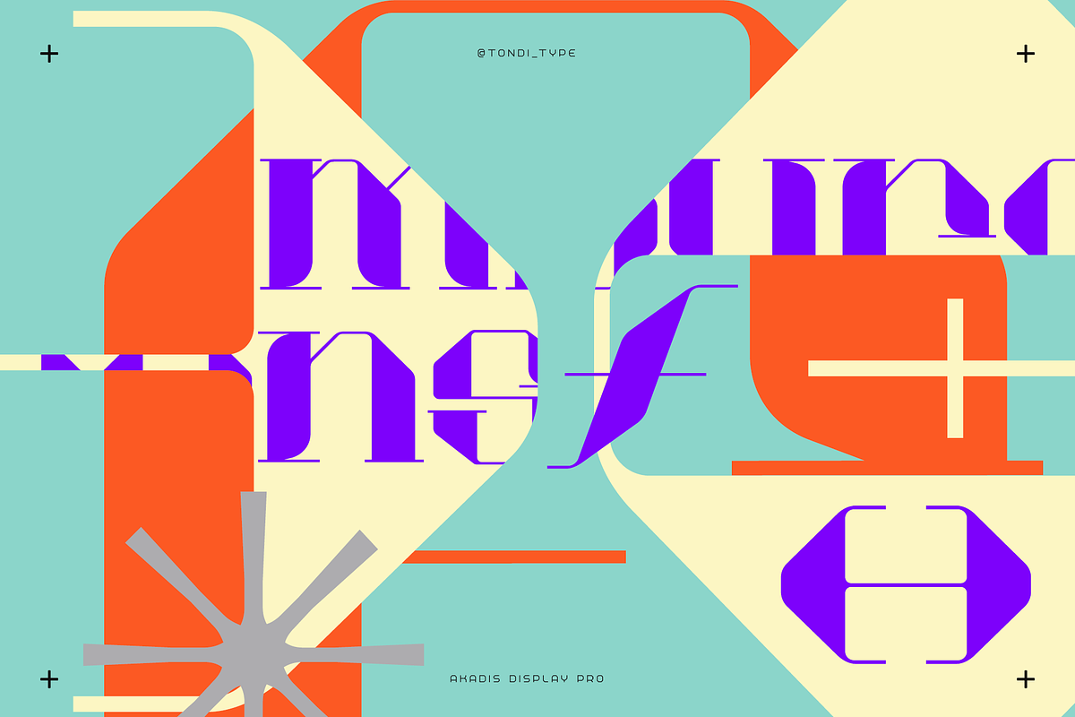 Akadis Neue - Contemporary Serif, a Serif Font by Tondi Type Studio (Photo 17 of 19)