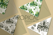 Tropical Foliage Watercolor set, a Decorative Illustration by Liliia Polos Illustration (Thumbnail 14 of 14)