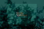 Kage - Botanical Shadow Overlays, a Texture Graphic by Studio Yorktown (Thumbnail 8 of 10)