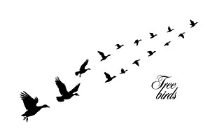 A flock of ducks flying. hand, an Animal Illustration by Nenahliadava Design