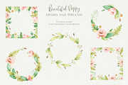 Beautiful Poppy, an Illustration by svetsum (Thumbnail 6 of 9)