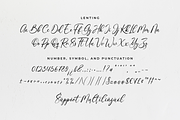 Lenting - Calligraphy Script Font, a Script Font by Ainun Jinan (Thumbnail 7 of 8)