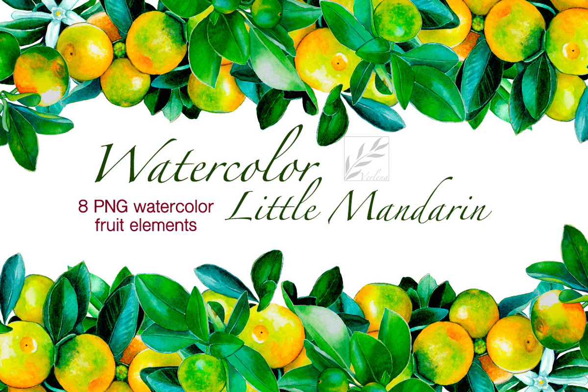 Watercolour little mandarins, a Decorative Illustration by Verlena's Corner (Photo 1 of 5)
