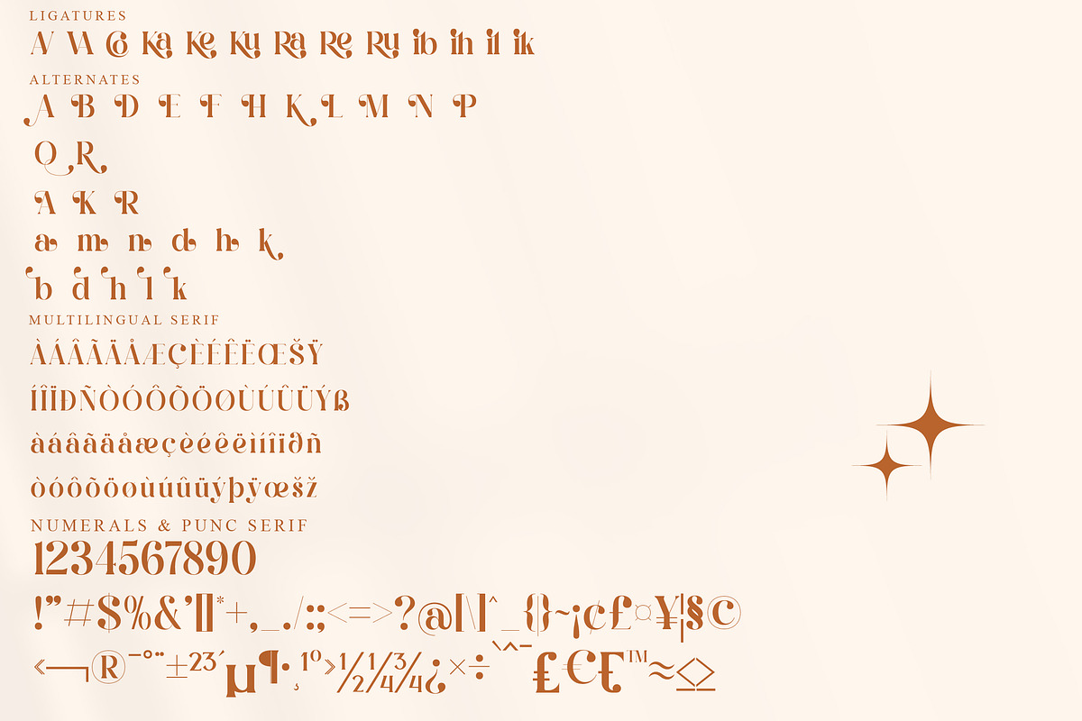 Qalisha Signature Font Duo Typeface, a Serif Font by Storytype Studio (Photo 12 of 15)