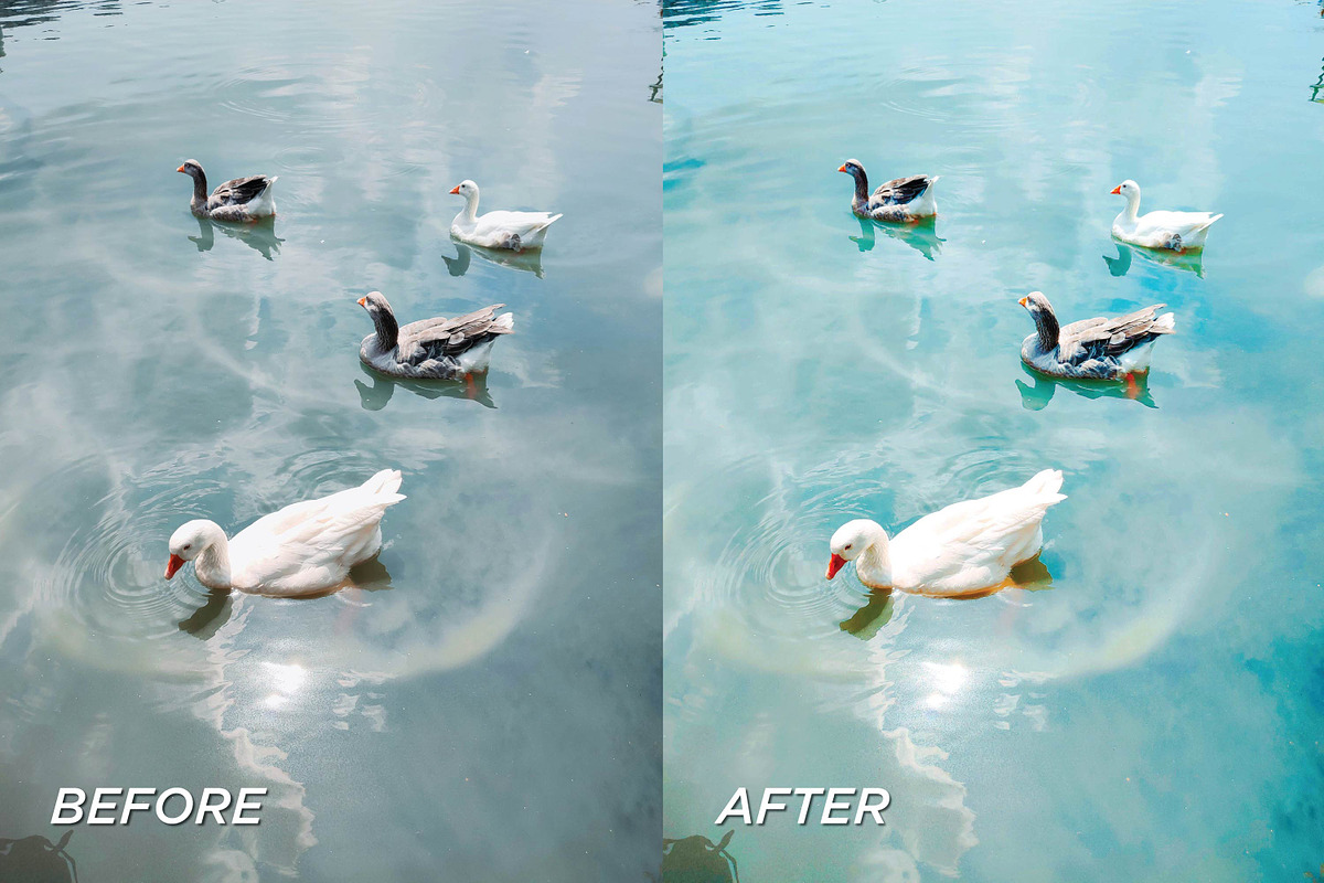 15 Clean Color Lightroom Presets, a Preset Add-On by TheWayfarerShoppe (Photo 5 of 9)