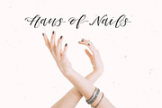 Columbidae Elegant Calligraphy Font, a Script Font by The Pigeon Letters (Thumbnail 8 of 11)