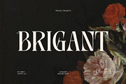 CS Brigant – Modern Serif Font, a Serif Font by Craft Supply Co. (Thumbnail 1 of 8)