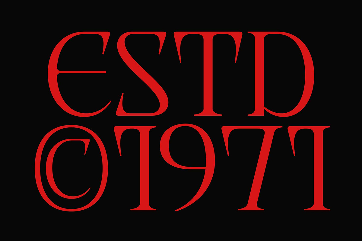 CS Alarix – Serif Display Font, a Serif Font by Craft Supply Co. (Photo 3 of 8)