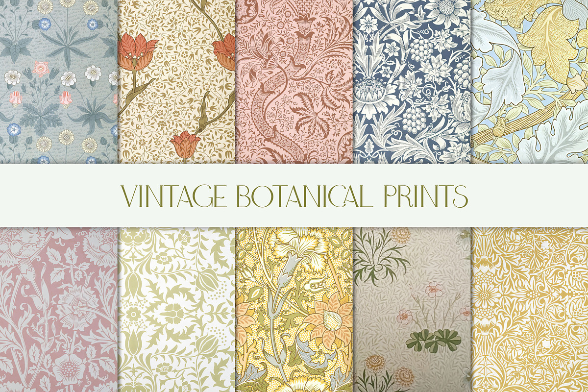 Vintage Botanical Print Collection, a Background Graphic by Patterns for Dessert (Photo 1 of 5)