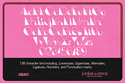 JWV - ELECTRIC LADY, a Sans Serif Font by Jordan Warren Visuals (Thumbnail 3 of 9)