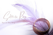 Chalisha Modern Calligraphy, a Script Font by Teweka (Thumbnail 6 of 12)
